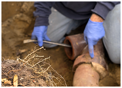 What's the Best Way to Repair a Damaged Sewer Line?